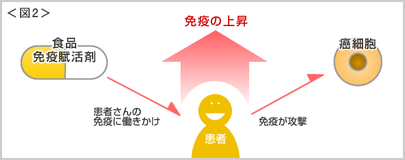 免疫力を上げるには？